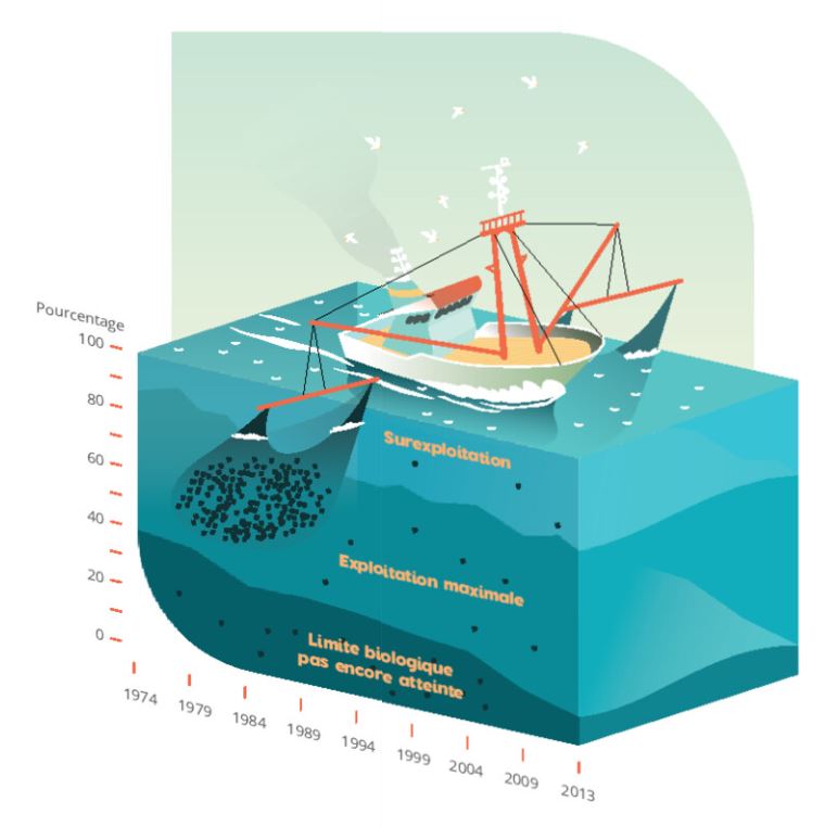 (Sur)exploitation des océans