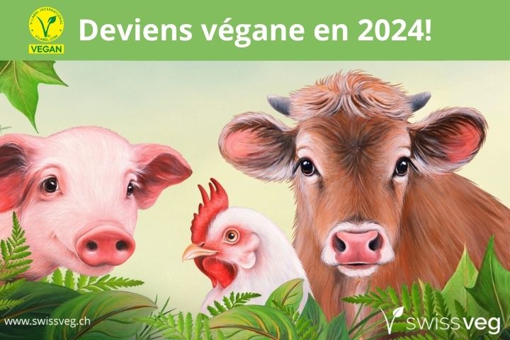 Bonne résolution 2024 (2023)