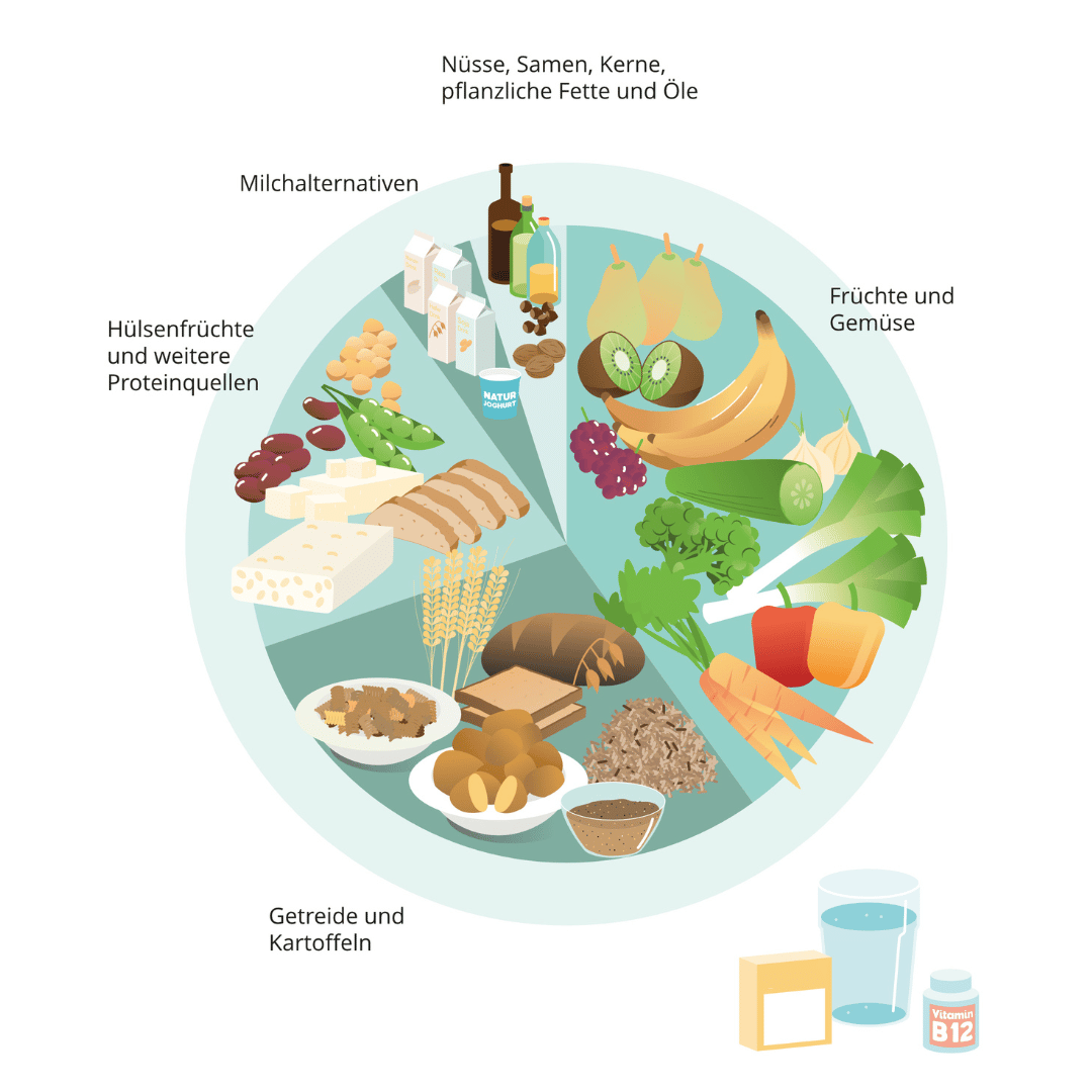 Vegane Ernährung - Pro Und Contra Vegane Ernährung: Grundlagen | Swissveg
