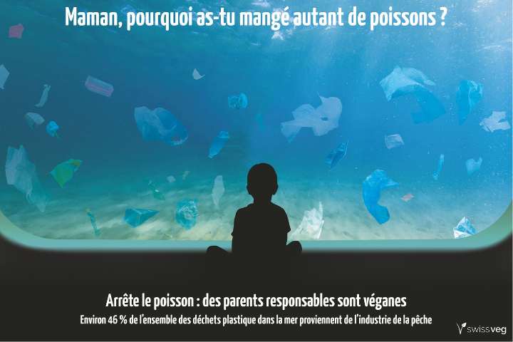 Arrête le poisson (2019)