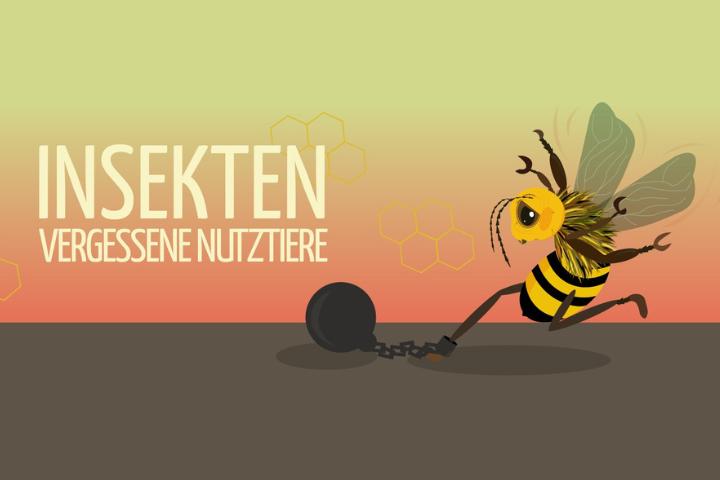 Insekten (2019)