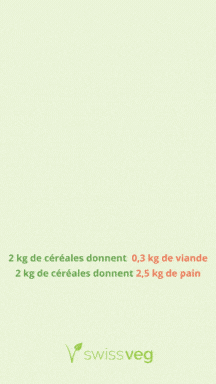Gaspillage alimentaire