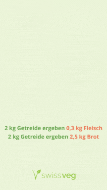 Food Waste Kampagnenvideo Swissveg