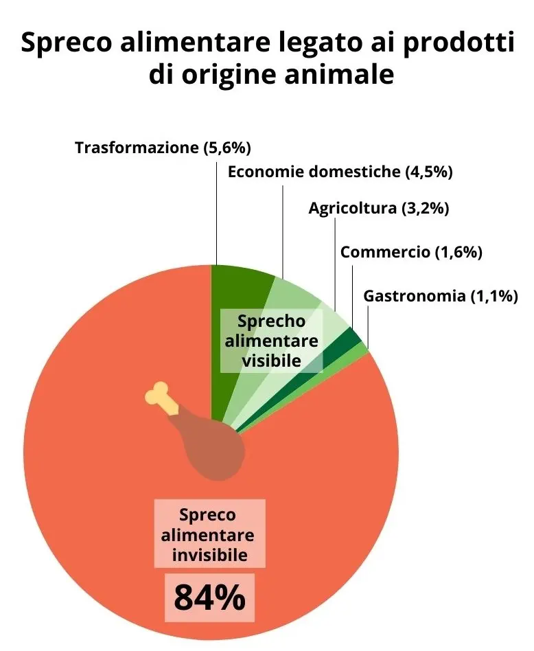 Food Waste  bei tierischen Nahrungsmitteln