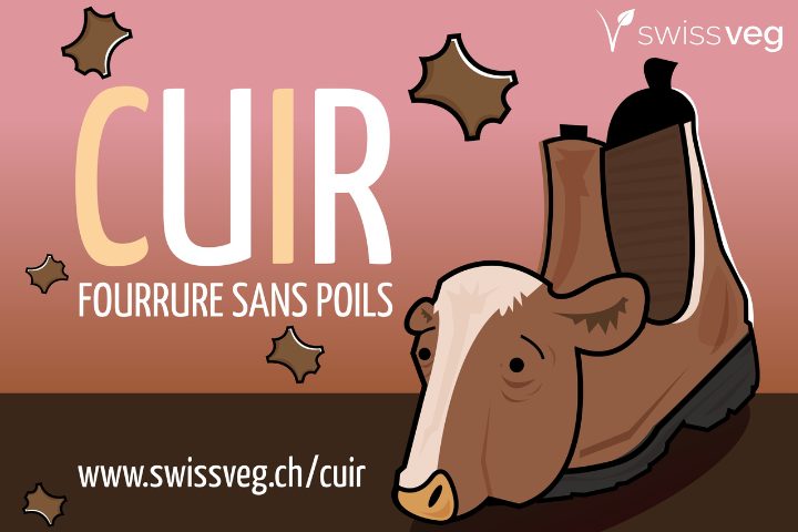 Cuir : fourrure sans poils (2018)