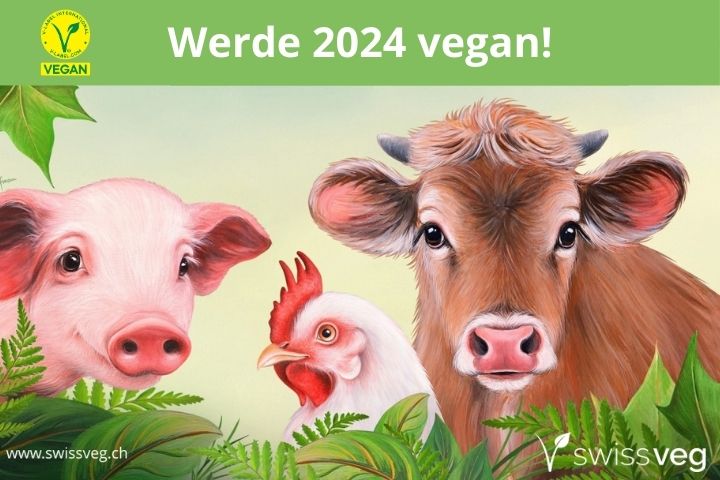 Neujahrsvorsatz 2024 (2023)