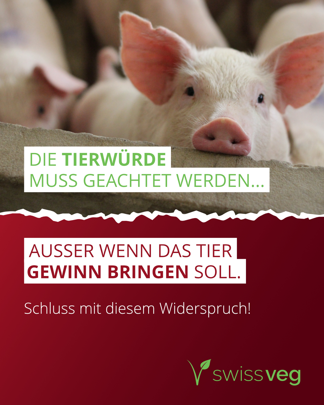 Kampagne Widersprüche Tiere