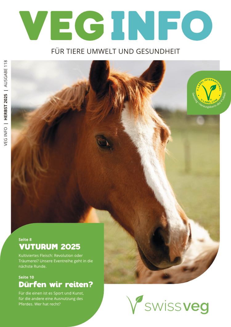 Vge Info 3-2025