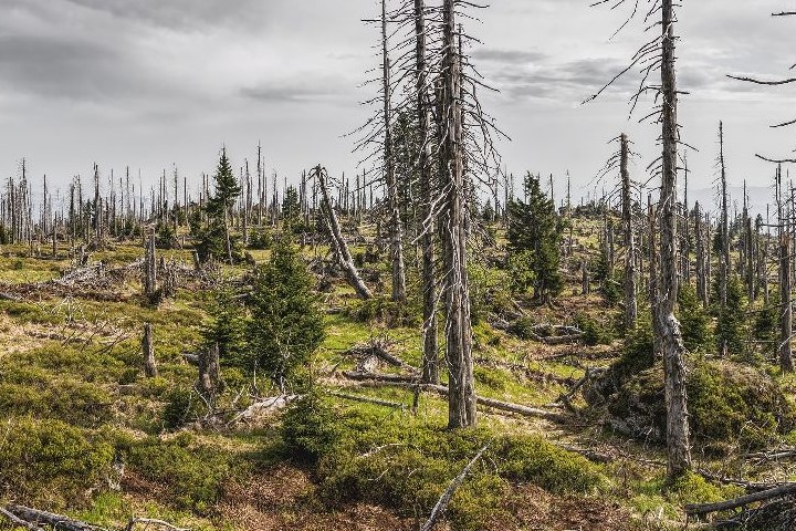 Politique et environnement