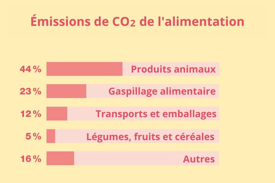 Émissions de CO2 de l'alimentation