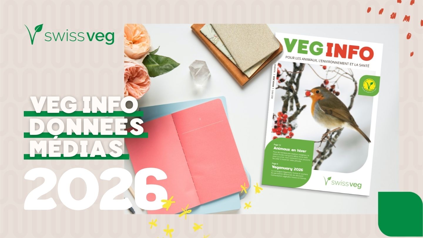 DONNÉES MÉDIAS 2026