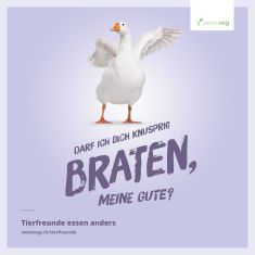 gans, stopfleber, fois gras, weihnachtsgans