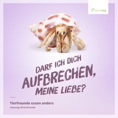 muscheln, hummer, krebs, meeresfrüchte, unterwasser, krustentiere