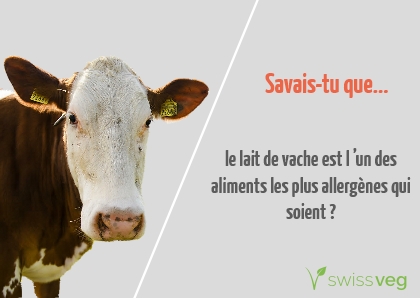 Savais-tu que le lait de vache est l'un des aliments les plus allergènes qui soient?