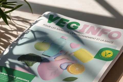 Veg-Info