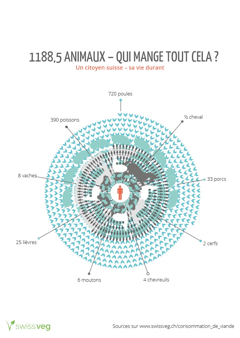 1188,5 animaux - qui mange tout cela?