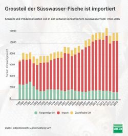 Arrêter de manger du poisson – pourquoi ?