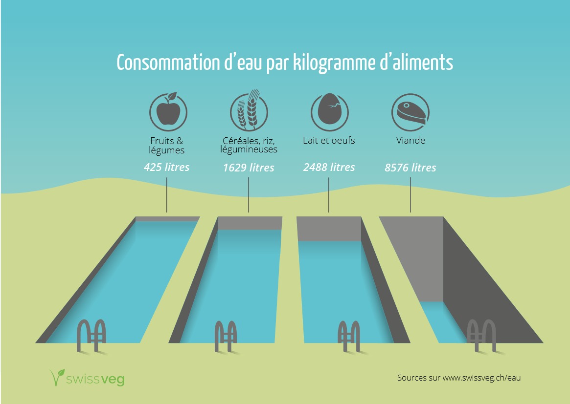Comparaison de différents aliments en termes de consommation d'eau