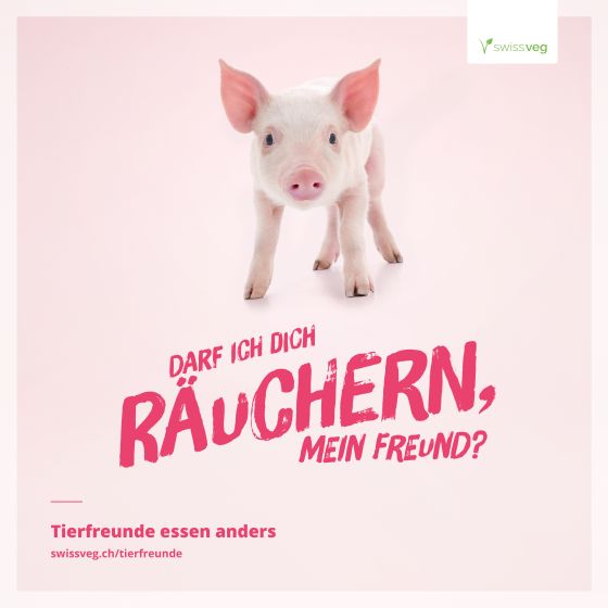 schwein, fleisch, speck, sau, bacon