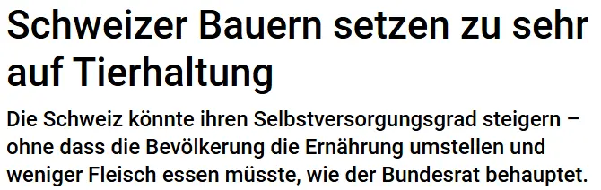 salso-Artikel Screenshot