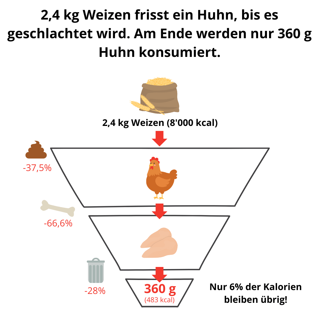 Wertschöpfungskette Hühnerfleisch