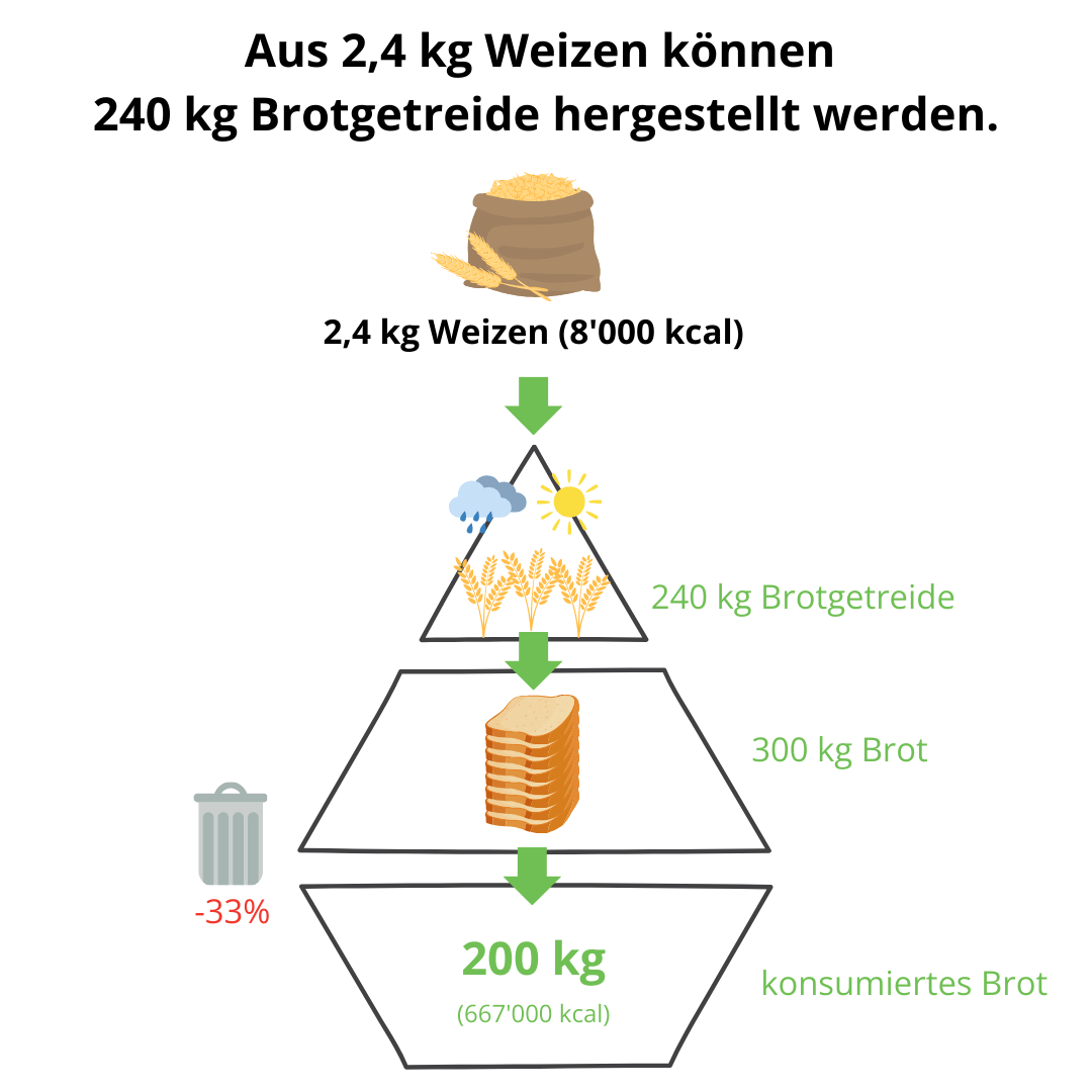 Wertschöpfungskette Brot