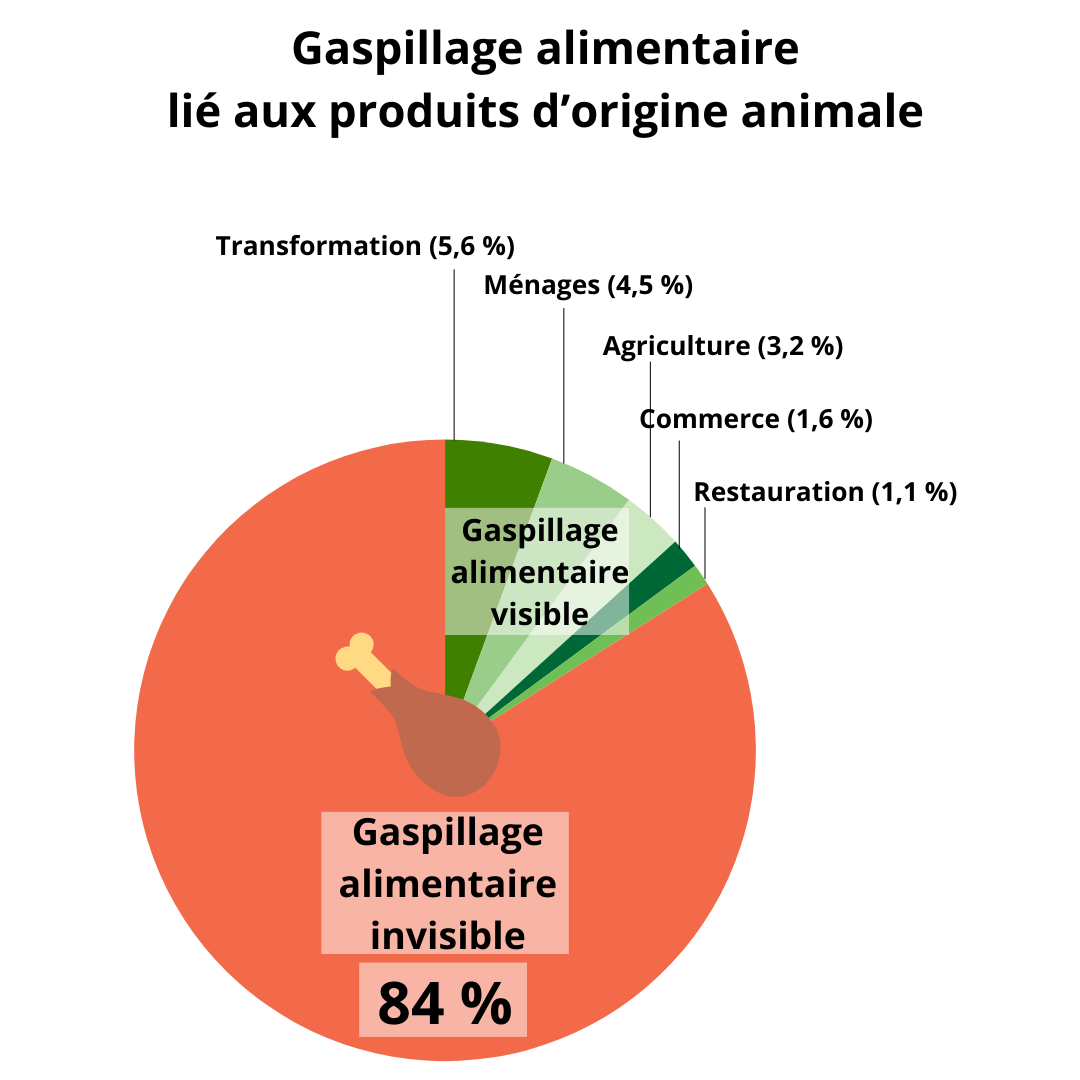 Gaspillage alimentaire lié aux produits d’origine animale