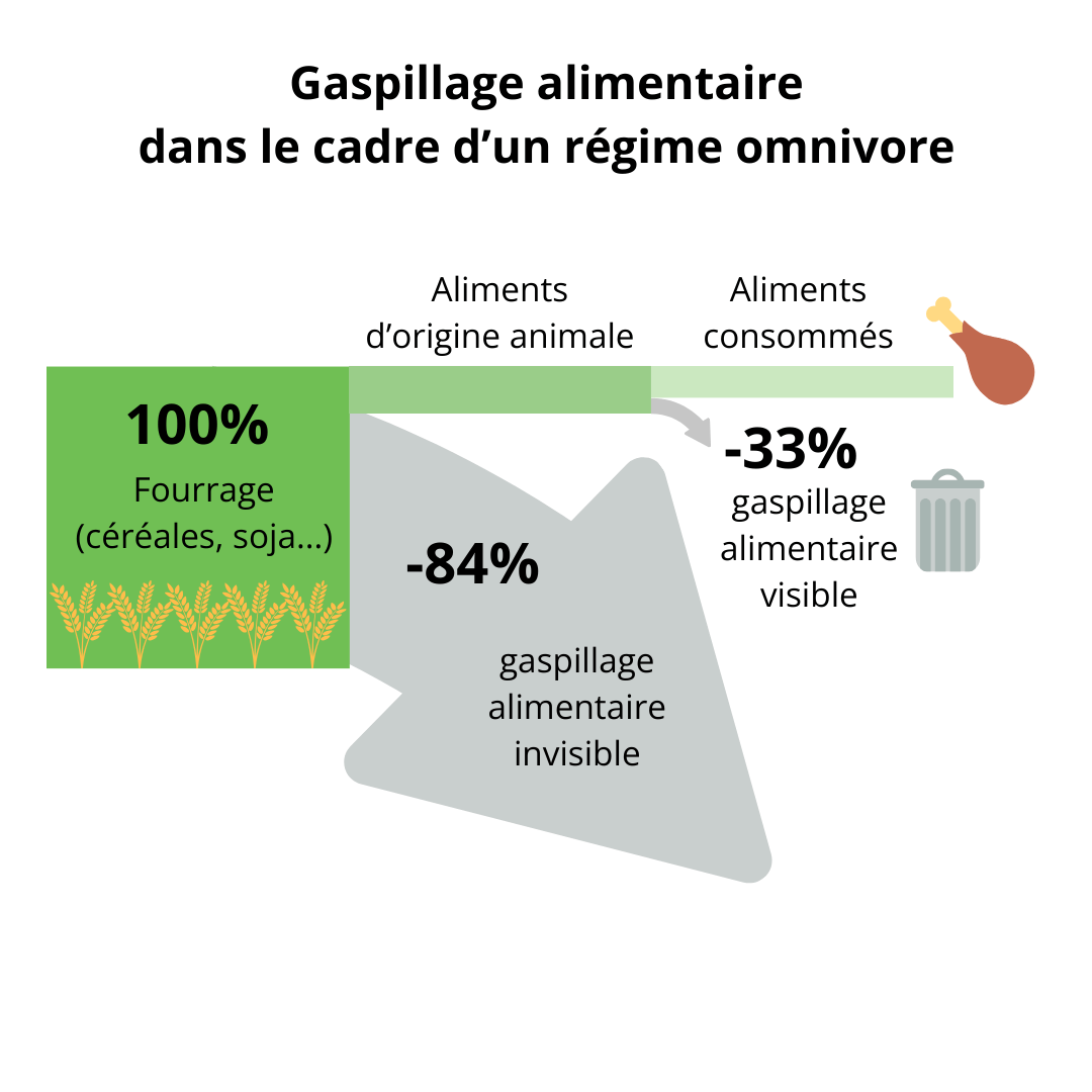 Gaspillage alimentaire dans le cadre d’un régime omnivore