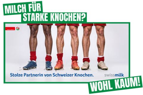 Milch für starke Knochen? Wohl kaum!