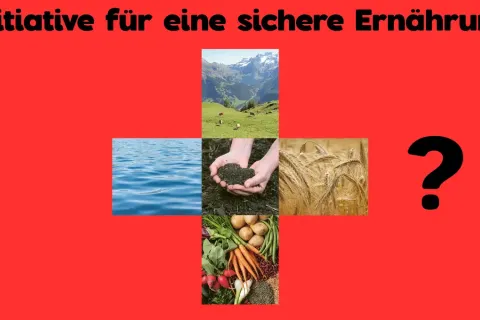 Ernährungsinitiative: Gegenargumente