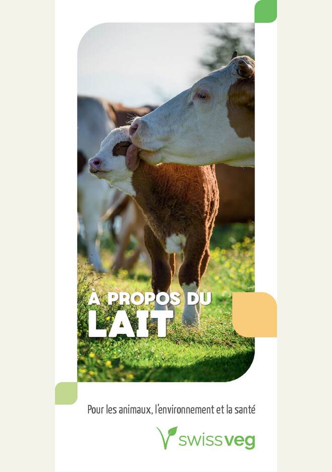 À propos du lait