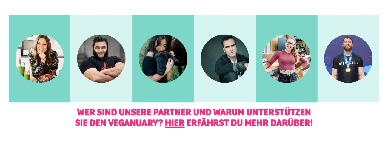 Entdecke mehr über unsere Partner