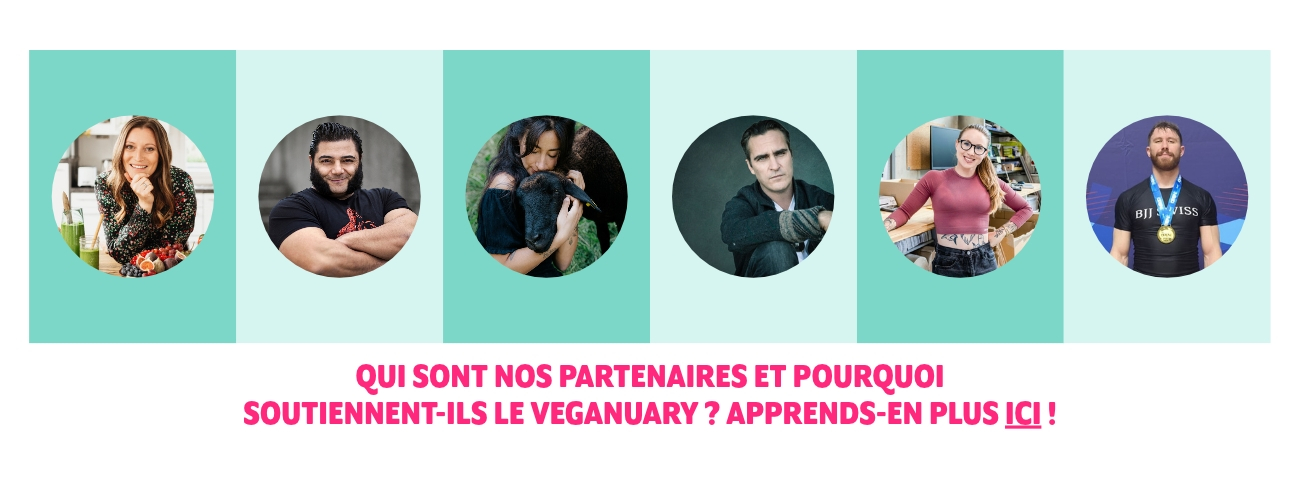 Apprends-en plus sur nos partenaires ici