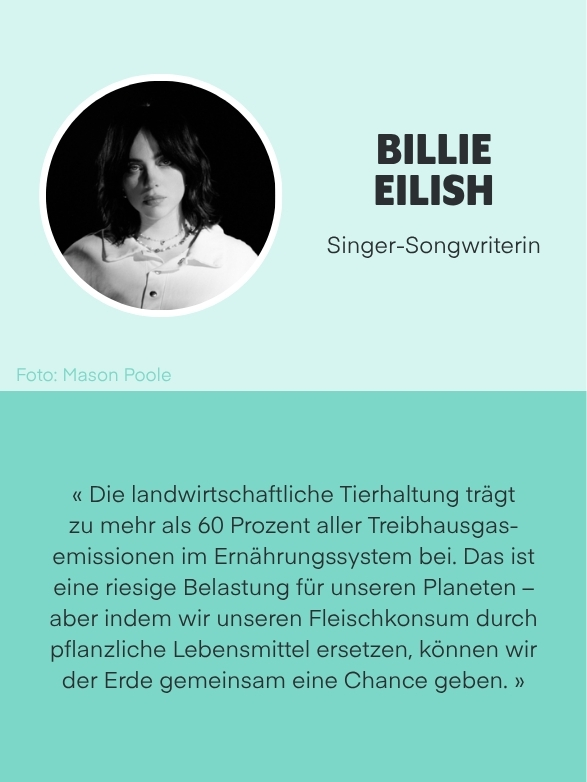 Testimonial Billie Eilish